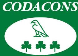 Codacons, esposto ad Antitrust ed Enac su tempi di volo allungati nei biglietti: "Scostamenti fino a 70 minuti su orari effettivi per evitare rimborsi"