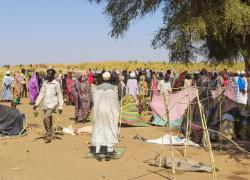 Sudan, Onu denuncia: "Oltre 10mila sfollati in 72 ore dopo i combattimenti in Darfur e Kordofan, grave emergenza umanitaria"