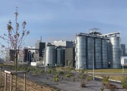 Fallisce Ynsect, il faraonico progetto francese di insetticoltura, storia di ideologia e spreco di fondi, impatti su start-up e investimenti europei