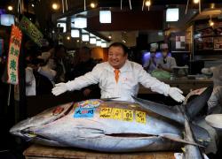 Giappone, tonno rosso da 243kg venduto all&rsquo;asta a Tokyo a 510,3mln di yen (&euro;2,8mln), battuto il record del 2019 (333,6 milioni di yen)
