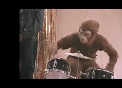 The Avalanches e &ldquo;Sampledelia&rdquo;, ovvero l&rsquo;arte dell&rsquo;ensemble: &ldquo;I Quentin Tarantino della musica&rdquo;, oggi ancora suggestivi ed attuali