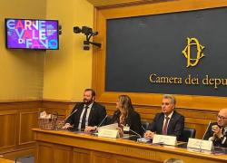 Carnevale di Fano. Carloni (Pres. Comm. Agricoltura): &ldquo;Chiamati a raccogliere un&rsquo;antica tradizione e rilanciarla&rdquo;