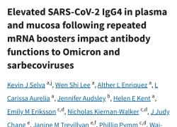 Vaccino Covid, "con dosi booster a mRna, diminuisce la capacit&agrave; dell'organismo di combattere infezioni" - lo STUDIO australiano
