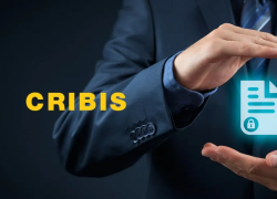  Cribis (CRIF), Osservatorio Start Up Innovative: nel 2025 imprese in calo di circa il 4% in Italia; focus su programmazione e ricerca 