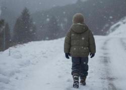 Bambino 11 anni lasciato a piedi, il rimorso dell'autista del bus Salvatore Russotto: "Ho sbagliato, mi scuserei anche in ginocchio" 