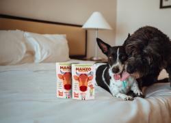 Real Bowl, pappa fresca per cani, conservabile fino a 45 giorni fuori dal frigorifero e pratica da trasportare in viaggio