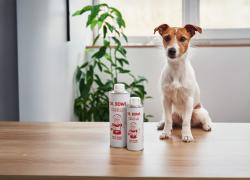 Real Bowl, presentato un olio nutriente per il bulbo pilifero e la salute della pelle dei cani durante la muta stagionale