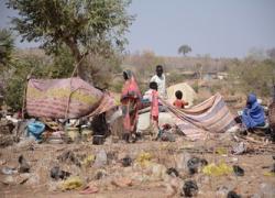 Sudan, continuano i crimini di guerra: raid RSF su ospedale militare Al-Kuweik uccide 22 persone, rischio carestia ad Um Baru e Kernoi in Darfur