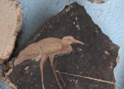 Ercolano a Villa Sora  rinvenuti  frammenti pittorici dell'apparato decorativo grazie a un finanziamento di  &euro;150.000 