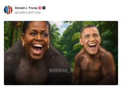 Trump, il difensore delle scimmie: quando il video &ldquo;razzista&rdquo; &egrave; solo una questione di marketing animalista