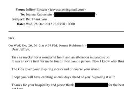 Caso Epstein, Joanna Rubinstein si dimette dopo "legami con ex finanziere pedofilo": era membro del Comitato "End Violence Against Children"