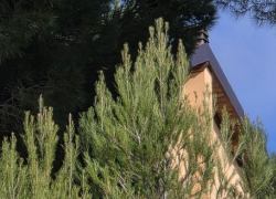 Bimba morta a Bordighera, la madre arrestata "voleva affidamento delle figlie; a marzo avrebbe avviato iter separazione dal marito in carcere"