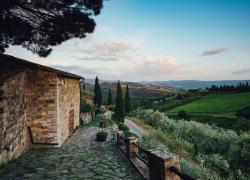 Con un equilibrio tra tradizione e rispetto dell&rsquo;ambiente, Vecchie Terre di Montefili rappresenta una realt&agrave; del Chianti Classico che non insegue il volume, ma la precisione; non la visibilit&agrave;, ma la profondit&agrave;
