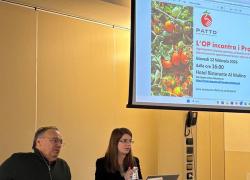 OP Patto Pomodoro Piemonte: &ldquo;Tutela delle filiere e sicurezza alimentare non sono negoziabili&rdquo;
