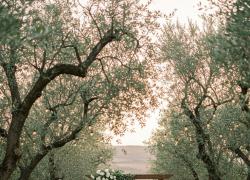 Matrimoni stranieri in Italia, giro d'affari da &euro;1,1 miliardo; il budget medio per cerimonia &egrave; di circa &euro;67 mila