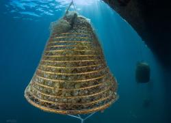 A tourismA, il salone dell&rsquo;archeologia e del turismo culturale, il convegno dedicato al rapporto tra patrimonio archeologico e produzione vitivinicola