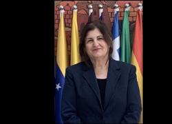 Palestina, ministro Esteri Shahin al Consiglio dei Diritti Umani: "Israele continua con le uccisioni di massa, non c'&egrave; alcuna risoluzione"