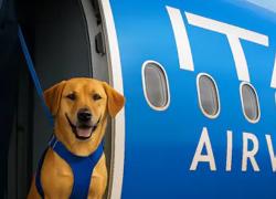 ITA Airways lancia sui voli domestici il servizio &ldquo;Large Pet Friendly&rdquo; per animali in cabina fino a 30 kg dopo le modifiche ENAC