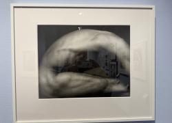 Robert Mapplethorpe. Le forme del desiderio. Palazzo Reale Milano . Fino al 17 maggio 2026 una retrospettiva del fotografo e artista statunitense a cura di Denis Curti, catalogo Marsilio Arte 