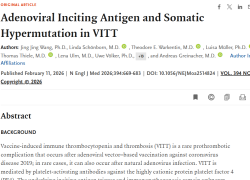 Effetti avversi vaccino Covid, "casi di trombocitopenia trombotica immunitaria indotta da sieri Astrazeneca e Johnson" - lo STUDIO tedesco