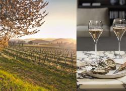 Festival di Primavera e vini Franciacorta fra il lago d&rsquo;Iseo, Brescia e i borghi del territorio
