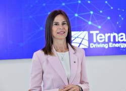 Studio TEHA&ndash;Terna, nel 2025 record europeo per produzione energia rinnovabile (50%); investimenti da &euro;23 miliardi entro il 2034