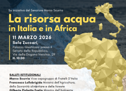 Convegno Sogesid  al Senato su &ldquo;La risorsa acqua in Italia e in Africa&rdquo;
