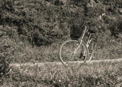 Oscar del Cicloturismo 2026, al via le candidature: le regioni italiane si sfidano per la ciclovia pi&ugrave; bella d&rsquo;Italia