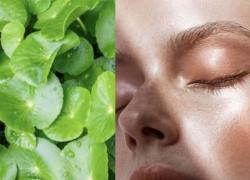 Macchinari per il benessere high tech, prodotti per schermarsi dalla luce e dal sole nocivi e trattamenti che uniscono le qualit&agrave; della natura con l'innovazione scientifica