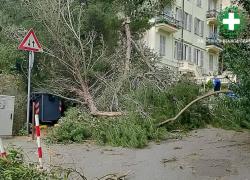 Genova, soffia la burrasca a 100 km/h e crollano alberi e tegole, due donne ferite, strade chiuse e voli dirottati