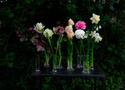 Nel giardino della Triennale di Milano, in collaborazione con Pollen, arriva il Flower Market dal 4 al 5 e dall'11 al 12 aprile