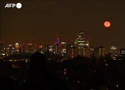 Superluna rosa 27 aprile: stanotte diventerà rossa. Video 