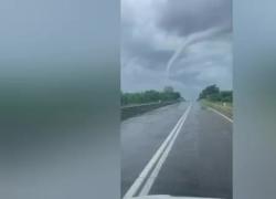 Rovigo, tromba d'aria su Adria, alberi sradicati da un tornado lunghissimo, strade e tetti distrutti - VIDEO