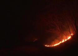 Corea del Sud, incendi senza precedenti, bruciati più di 17mila ettari di boschi e 18 vittime, sfollate 27mila persone, spunta ipotesi errore umano - VIDEO