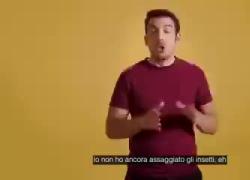 "Barilla vuole mettere insetti nella pasta" - un VIDEO "frainteso" fa scattare la polemica