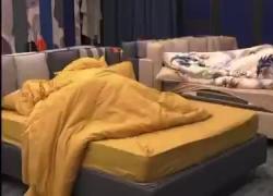 "Sesso orale al Grande Fratello", Shaila Gatta e Lorenzo Spolverato nella bufera, il VIDEO cercatissimo