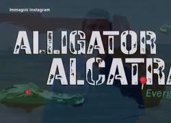 Florida, nasce "Alligator Alcatraz", prigione per immigrati irregolari nel mezzo delle Everglades, proposta dal procuratore Uthmeier - VIDEO
