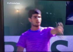 Indian Wells, Alcaraz-Zverev sospesa per due ore per invasione di api, punto il tennista spagnolo - VIDEO