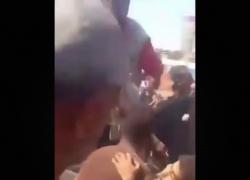 Gaza, nuovo stop bluff di Israele a consegna aiuti umanitari per "bloccare Hamas” e affamare i civili, oltre 40 vittime palestinesi per spari Idf - VIDEO