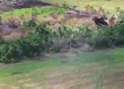 Ucraina, conquistati villaggi in oblast di Sumy e Dnipropetrovsk da Russia, raid  del Cremlino con droni e artiglieria, 4 morti e 36 feriti - VIDEO