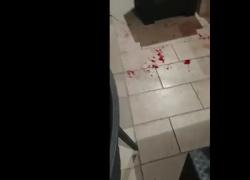 Gorizia, accoltellate 3 persone in un bar dopo una lite, grave ragazza di 22 anni ferita al collo, arrestato l'aggressore, un italiano di 30 anni - VIDEO