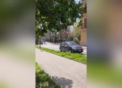 Reggio Emilia, uomo nudo corre in strada e si sdraia su auto in transito, bloccato da polizia e sottoposto a Tso &ndash; VIDEO
