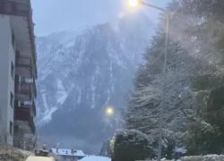 Lupi a Courmayeur avvistati tra le case del centro. Gli abitanti: "Erano spaventati e scappavano" - VIDEO