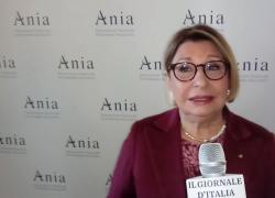 Insurance Summit 2021, Farina (Ania): "Welfare, necessario unione tra pubblico e privato"