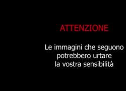 Tripoli, "Almasri uccide uomo in strada in pieno giorno", il VIDEO choc dell'"omicidio": vittima gettata a terra e presa a calci e pugni