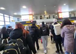 Allarme bomba a Gatwick, chiuso e riaperto il terminal sud dell'aeroporto di Londra per un "bagaglio sospetto" - VIDEO