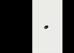 Usa, Casa Bianca pubblica VIDEO "Fake News Wrapped" con le 5 testate accusate di disinformazione tra cui WP e Reuters; NYT fa causa a Pentagono