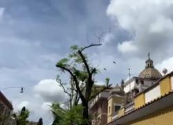 Roma, elicotteri militari sorvolano il quartiere Prati. Il web: "Ma siamo in guerra?" - VIDEO