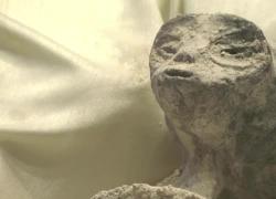 Messico, mummie non umane mostrate in parlamento, ufologo Maussan: "Alieni esistono" - VIDEO