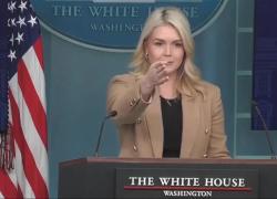 Renee Good uccisa a Minneapolis, giornalista attacca l'ICE: "32 persone assassinate nel '26", Leavitt lo caccia: "Attivista di sinistra, via da qui" - VIDEO